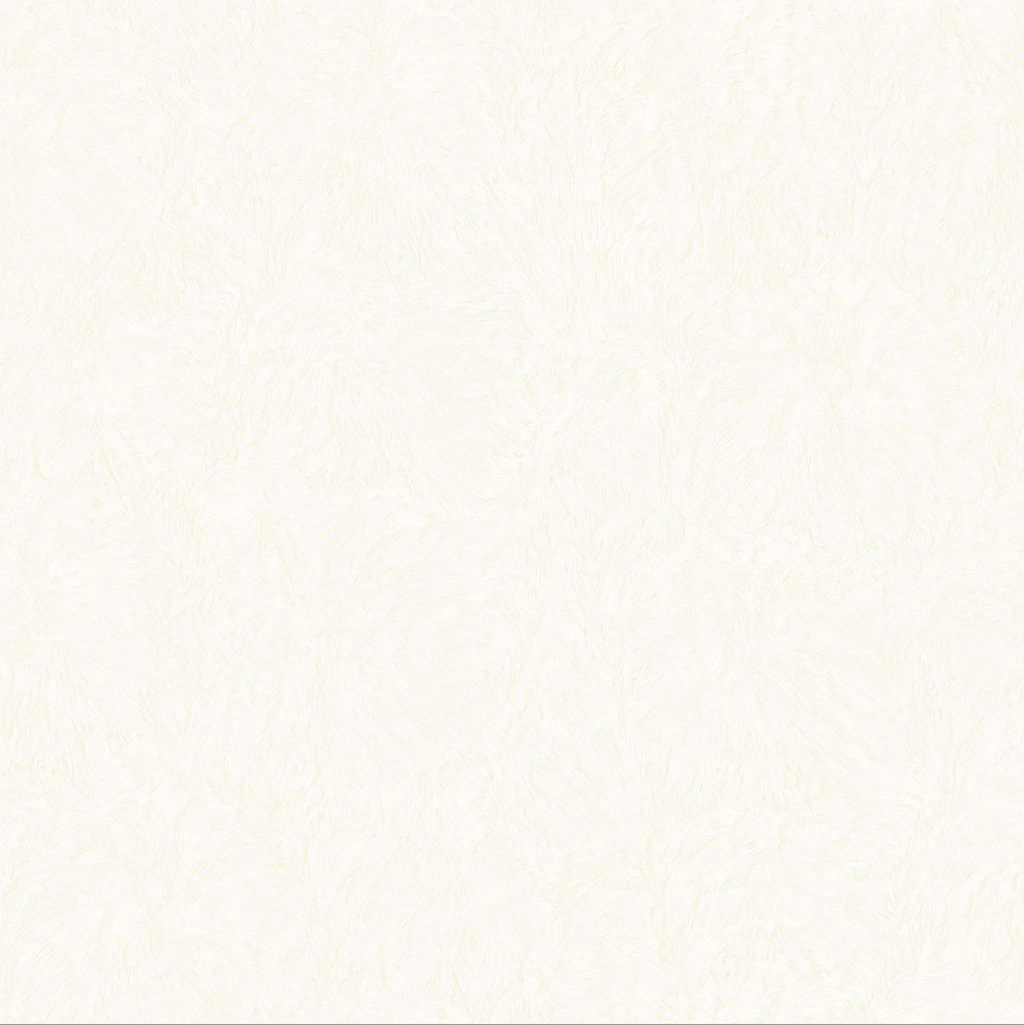 Brushed Furry Plaster Texture