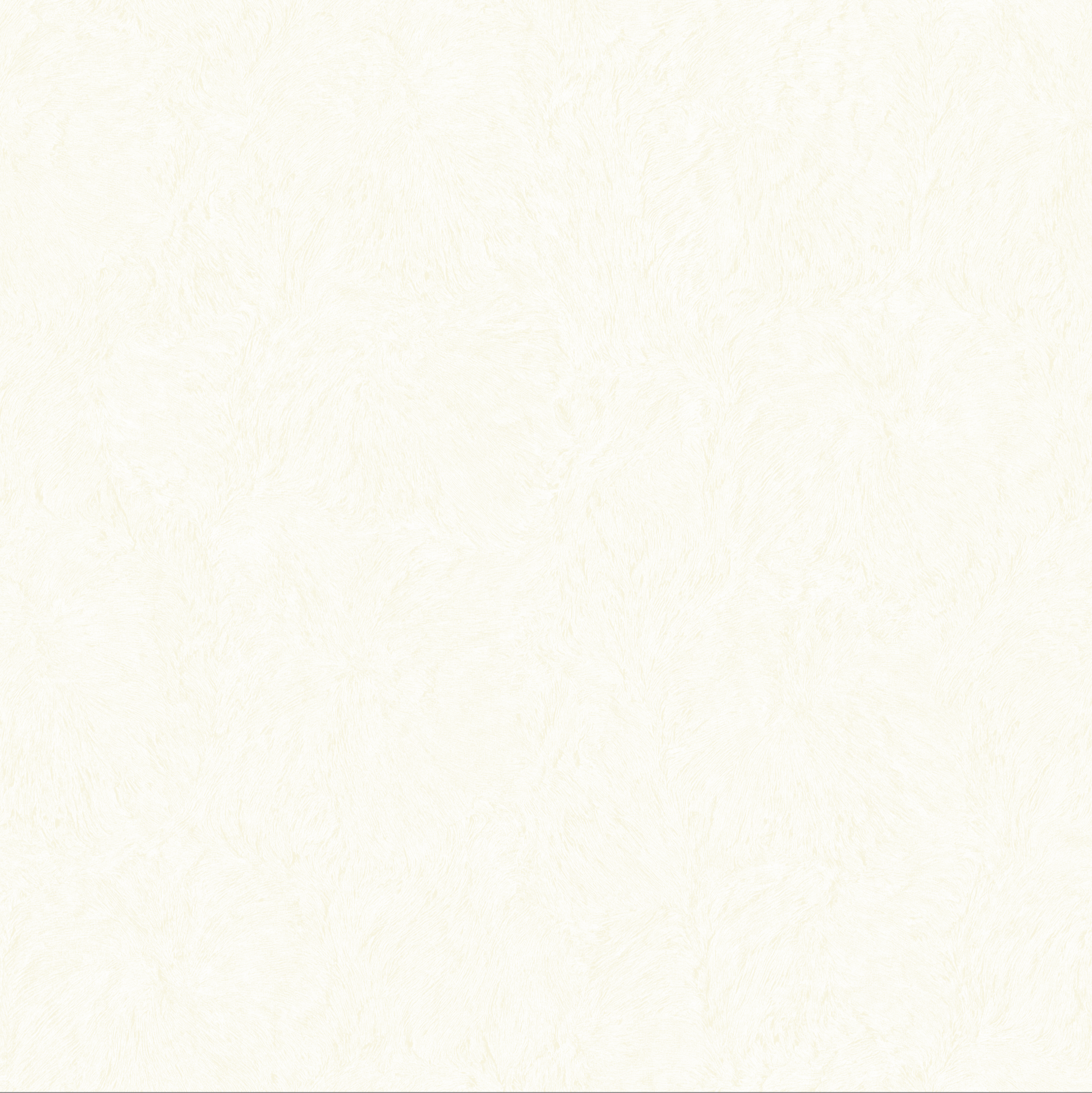 Brushed Furry Plaster Texture