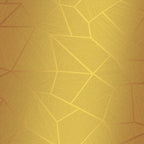 Irregular Triangle Trapezoid Geometric Pattern