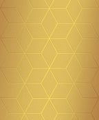 Rhombus & Hexagon Geometric Pattern